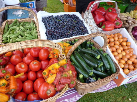 Armidale Farmers' Market - Accommodation Mount Tamborine 1