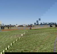 Balranald Races -Derby Day - Accommodation Mount Tamborine