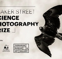 Beaker Street Science Photography Prize - Accommodation Mount Tamborine