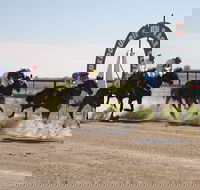 Bedourie Races and Rodeo - Accommodation Mount Tamborine