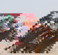 Birdsville Races - Accommodation Mount Tamborine