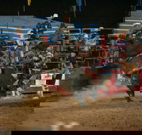 Black Opal Bull and Bronc Ride - Accommodation Mount Tamborine