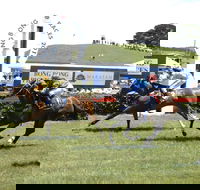 Bong Bong Picnic Races - Accommodation Mount Tamborine