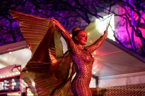 Brisbane Festival - Accommodation Mount Tamborine 0