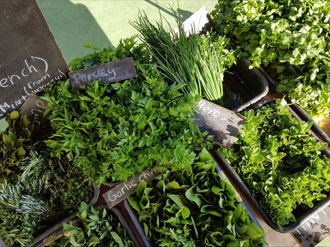Carlton Farmers' Market - Accommodation Mount Tamborine 2