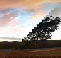 Christmas in July Jumpers and Jazz - Accommodation Mount Tamborine