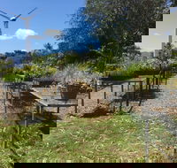 Conservation Volunteers Australia Townsville - Ocean View Nursery - Accommodation Mount Tamborine