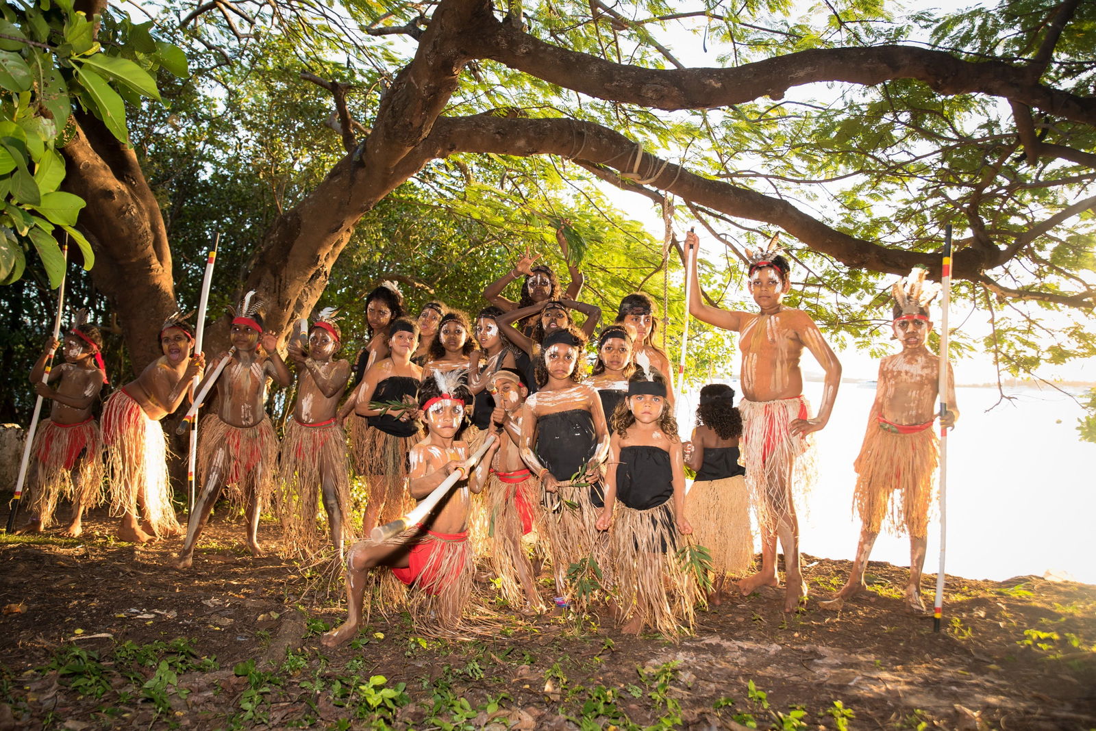 Cooktown QLD Accommodation Mount Tamborine