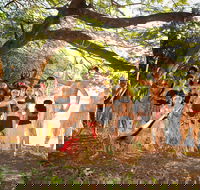 Cooktown and Cape York Expo 2021 - Accommodation Mount Tamborine