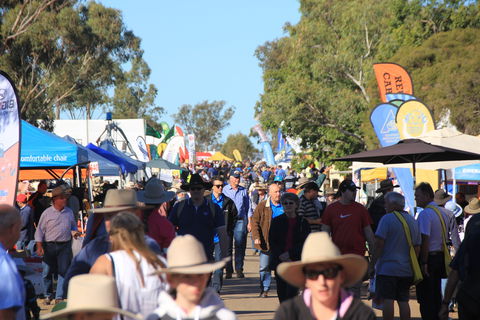 CRT FarmFest - Accommodation Mount Tamborine 1