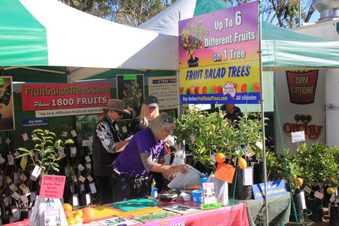 CRT FarmFest - Accommodation Mount Tamborine 2