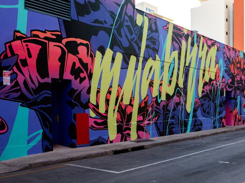 Darwin Street Art Festival - Accommodation Mount Tamborine 1