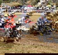 Dust Hustle Queensland Moto Park - Accommodation Mount Tamborine