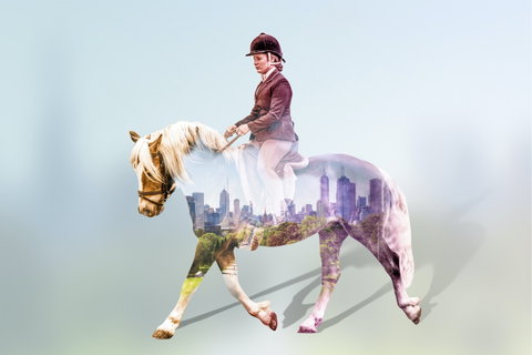 EQUITANA Melbourne - Accommodation Mount Tamborine 0