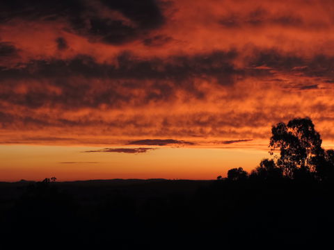 Father's Day At Cottontail Wines - Accommodation Mount Tamborine 0