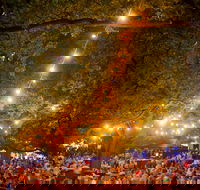 Festivale - Accommodation Mount Tamborine