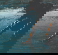 Flow - Accommodation Mount Tamborine