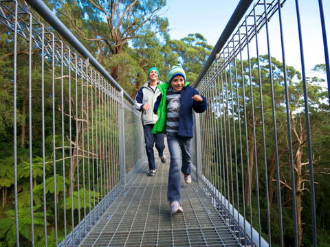 Get Back To Nature These July School Holidays! - Accommodation Mount Tamborine 0