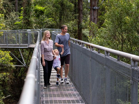 Get Back To Nature These July School Holidays! - Accommodation Mount Tamborine 1