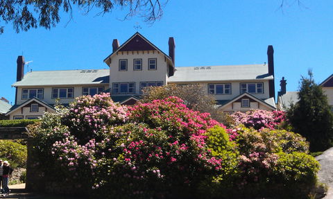 Hedonistic Hiking's Mount Buffalo Hike And Picnic - Accommodation Mount Tamborine 1