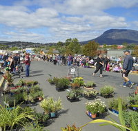 Hobart Showground Sunday Market - Weekly - Accommodation Mount Tamborine