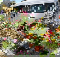 Johns River Country Markets - Accommodation Mount Tamborine