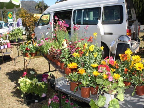 Johns River Country Markets - Accommodation Mount Tamborine 0