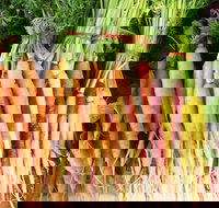 Joondalup Growers Market