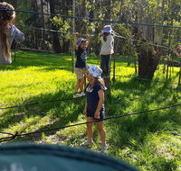 July 2020 Holidays- Forest Smores  Explore - Accommodation Mount Tamborine
