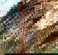 July 2020 Holidays- Explore  Climb - Accommodation Mount Tamborine