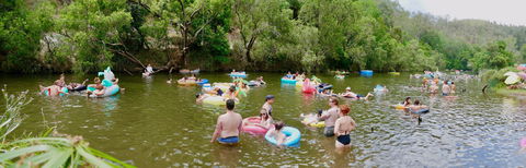 Jungle Love Festival - Accommodation Mount Tamborine 1