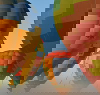 King Valley Balloon Festival - Accommodation Mount Tamborine