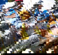 Land Rover Polo in the City Brisbane - Accommodation Mount Tamborine