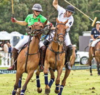 Land Rover Polo in the City - Accommodation Mount Tamborine