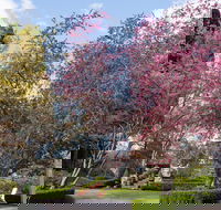 Leura Gardens Festival - Cancelled - Accommodation Mount Tamborine