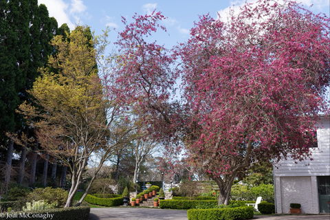 Leura Gardens Festival - Cancelled - Accommodation Mount Tamborine 0