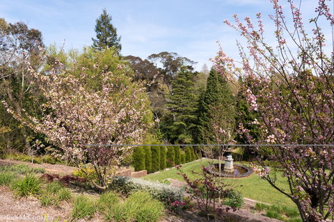 Leura Gardens Festival - Cancelled - Accommodation Mount Tamborine 2