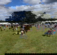 Majors Creek Festival - Accommodation Mount Tamborine