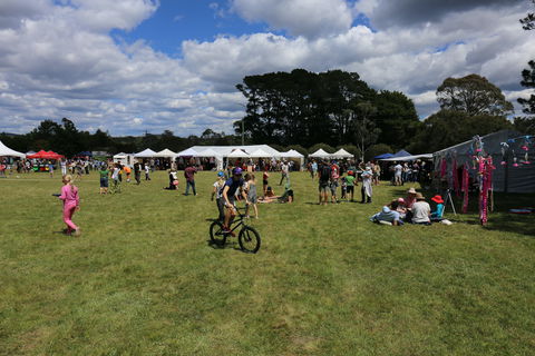 Majors Creek Festival - Accommodation Mount Tamborine 0
