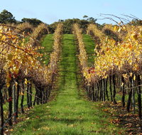 Miners Ridge Wine Tasting - Accommodation Mount Tamborine