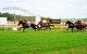 Moruya Cup - thumb 2