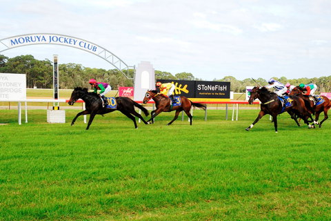 Moruya Cup - Accommodation Mount Tamborine 2