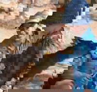 Mums and Cubs And Dads too - Accommodation Mount Tamborine