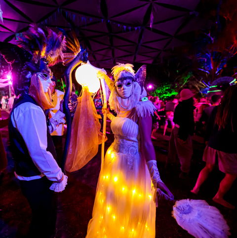 Mushroom Valley Festival - Accommodation Mount Tamborine 1