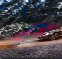 Narooma Forest Rally - Accommodation Mount Tamborine