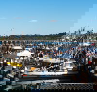 Ocean Harvest Festival - Accommodation Mount Tamborine