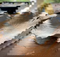 Online live streaming class DIY Clay Hand Building for Beginners - Accommodation Mount Tamborine