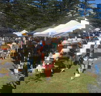 Palm Beach Market - Accommodation Mount Tamborine
