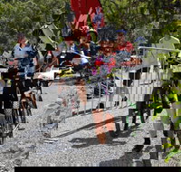 Paluma Push 2020 - Accommodation Mount Tamborine