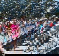 Port Broughton Annual Rubber Duck Race - Accommodation Mount Tamborine